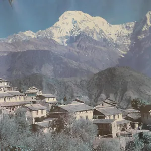 Mount Annapurna Gasthof